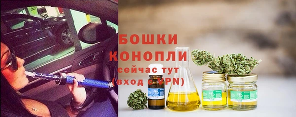 соль ск Гусь-Хрустальный