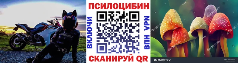 Галлюциногенные грибы прущие грибы  OMG онион  Ульяновск 